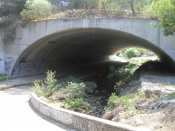 Underpass - Cheltenham (4/03/2013 2:33:07 PM)