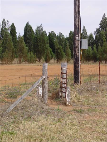 Gilgandra Aerodrome (4/03/2013 4:42:54 PM)