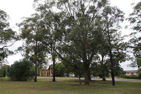 The King's School (5/03/2013 5:53:27 AM)