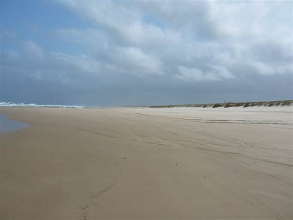 Killick Beach & Sand Dunes - Hat Head National Park (5/03/2013 7:29:48 PM)