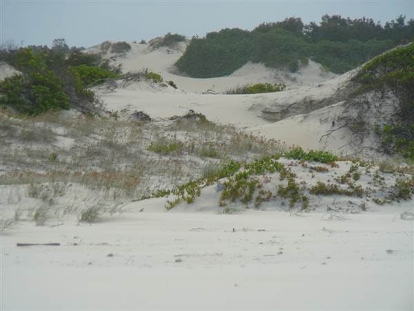 Killick Beach & Sand Dunes - Hat Head National Park (5/03/2013 7:30:11 PM)