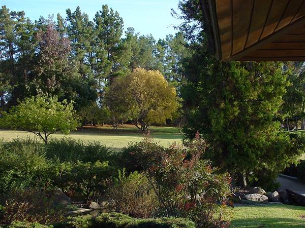 Japanese Gardens Cowra (5/03/2013 10:01:03 PM)