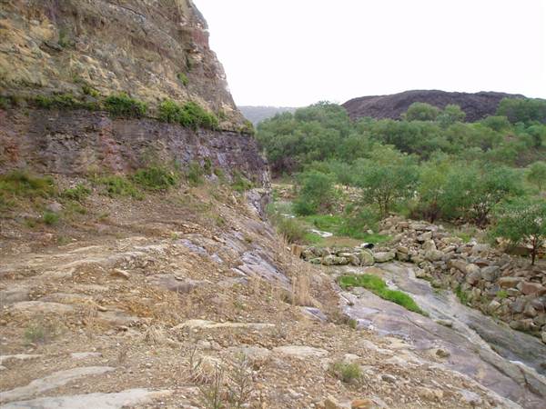 Kimbriki Resource Recovery Centre (6/03/2013 11:11:46 AM)