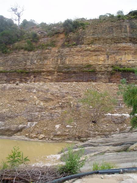 Kimbriki Resource Recovery Centre (6/03/2013 11:12:18 AM)