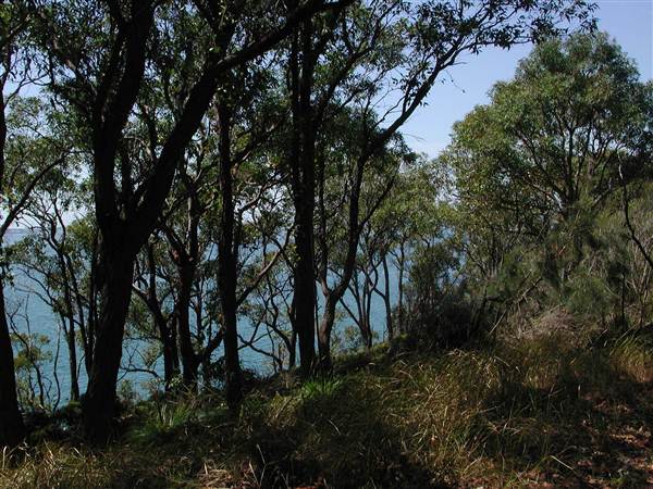 Lake Macquarie (6/03/2013 11:55:17 AM)