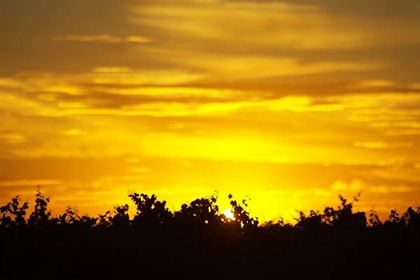 Leeton Shire (6/03/2013 11:56:16 AM)