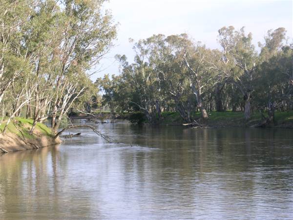 Leeton Shire (6/03/2013 11:58:58 AM)