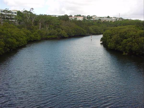 Lane Cove River (6/03/2013 12:07:45 PM)