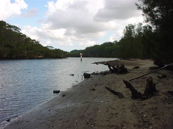 Lane Cove River (6/03/2013 12:08:12 PM)