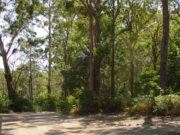 Lane Cove National Park (6/03/2013 12:12:05 PM)
