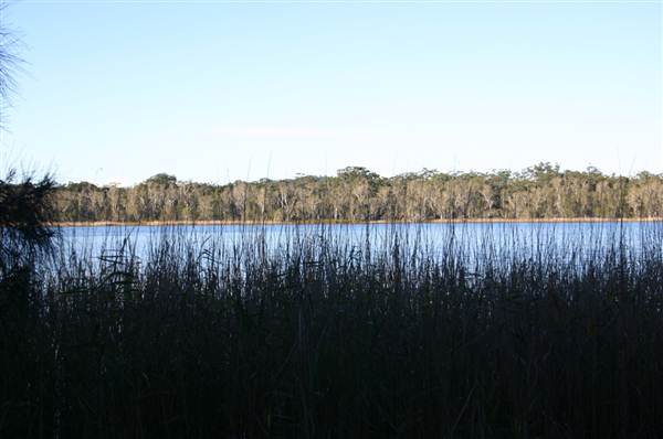 Myall Lakes National Park (6/03/2013 3:23:55 PM)