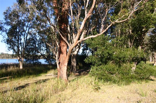 Myall Lakes National Park (6/03/2013 3:25:10 PM)