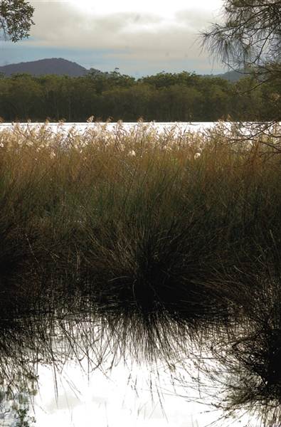 Myall Lakes National Park (6/03/2013 3:28:59 PM)