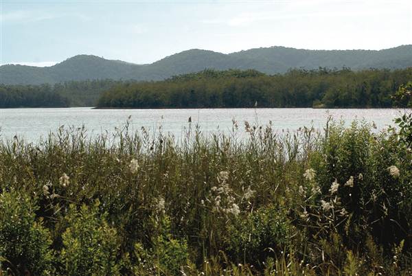 Myall Lakes National Park (6/03/2013 3:29:15 PM)