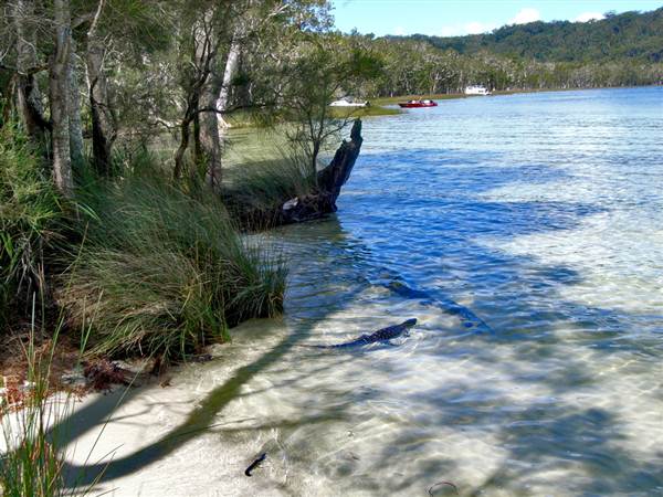 Myall Lakes National Park (6/03/2013 3:31:00 PM)