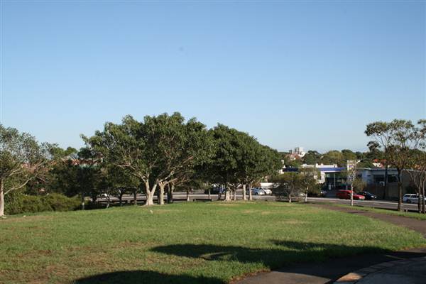 Sydney Park (6/03/2013 4:44:35 PM)