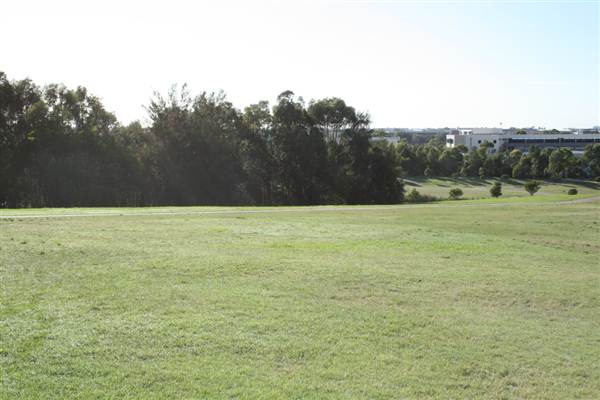 Sydney Park (6/03/2013 4:45:33 PM)