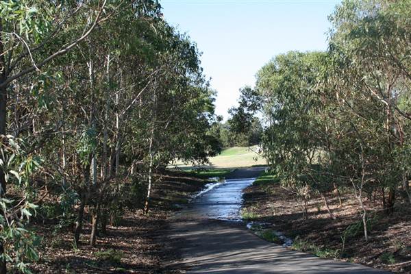 Sydney Park (6/03/2013 4:47:44 PM)
