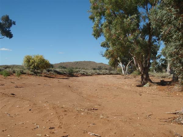 Nine Mile Road, 2012 (7/03/2013 4:18:39 AM)