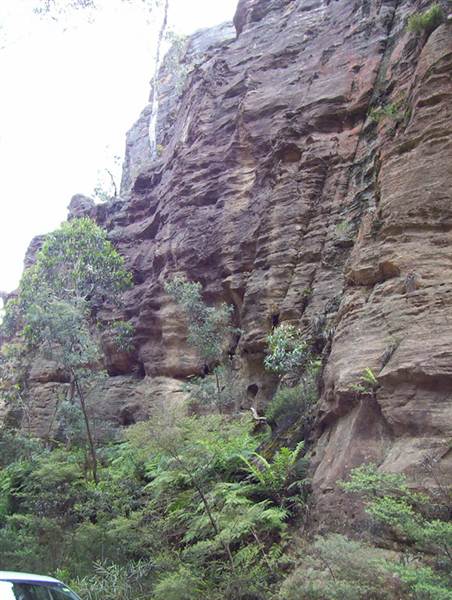 Lithgow Cliffs (7/03/2013 9:40:18 AM)