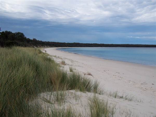 Beecroft Peninsula Long Beach (7/03/2013 9:59:49 AM)
