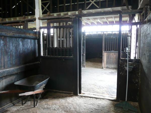 Lomar Park Stud (7/03/2013 10:01:39 AM)