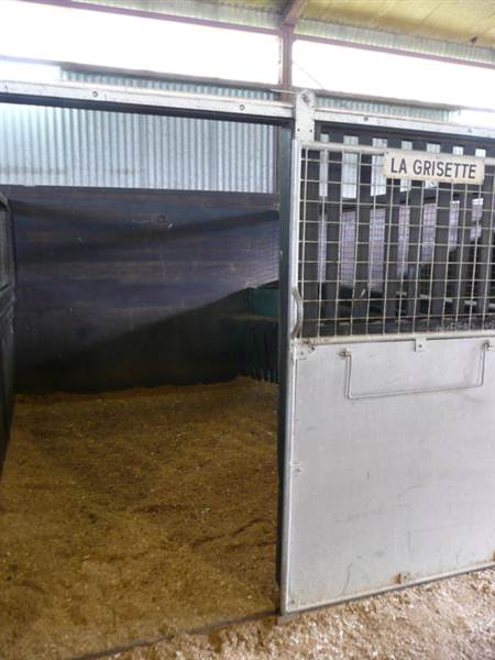 Lomar Park Stud (7/03/2013 10:02:23 AM)