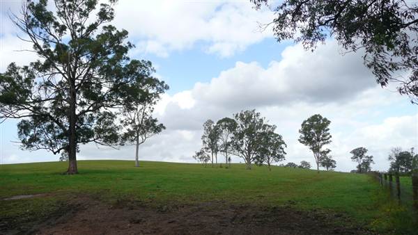 Lomar Park Stud (7/03/2013 10:02:45 AM)