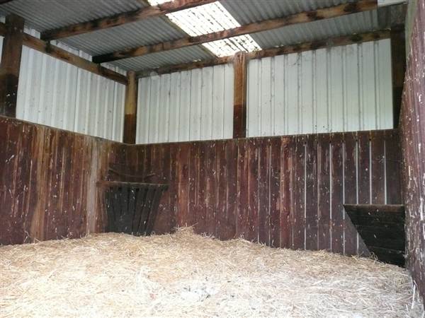Lomar Park Stud (7/03/2013 10:03:21 AM)