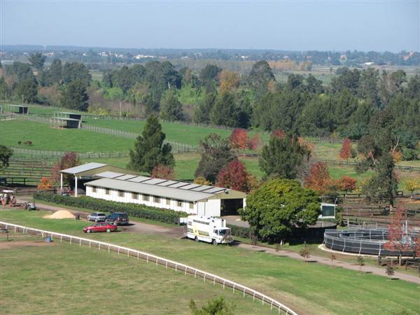 Malniri Park Stud (7/03/2013 12:09:04 PM)