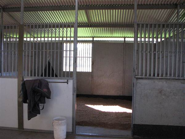 Malniri Park Stud (7/03/2013 12:09:40 PM)