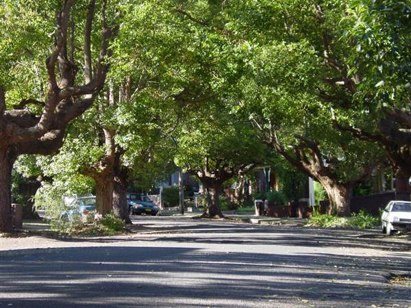 Marrickville Neighbourhood (7/03/2013 12:33:21 PM)