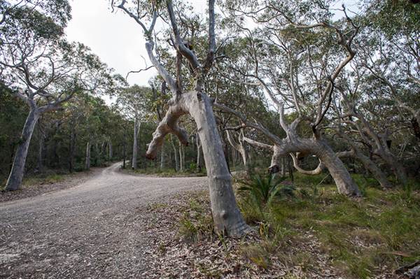 Murramarang National Park (7/03/2013 2:21:02 PM)