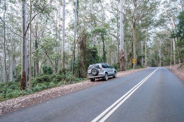 Murramarang National Park (7/03/2013 2:21:46 PM)