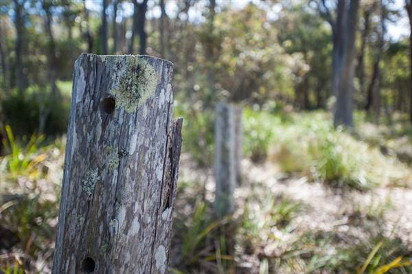Murramarang National Park (7/03/2013 2:22:48 PM)