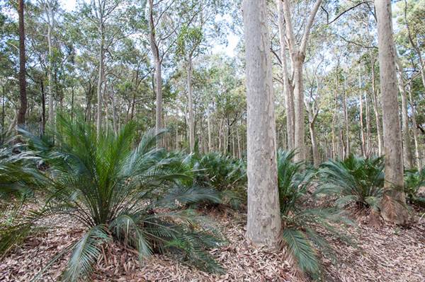 Murramarang National Park (7/03/2013 2:25:26 PM)