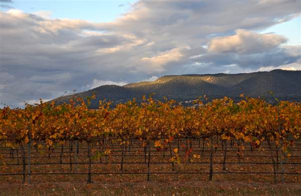 Mudgee Area Vineyards (7/03/2013 2:36:30 PM)