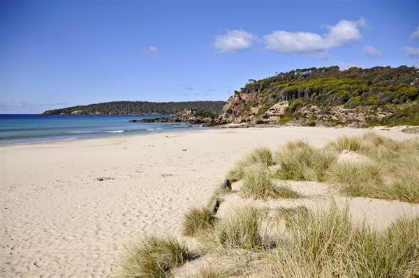 Pambula (7/03/2013 3:49:44 PM)