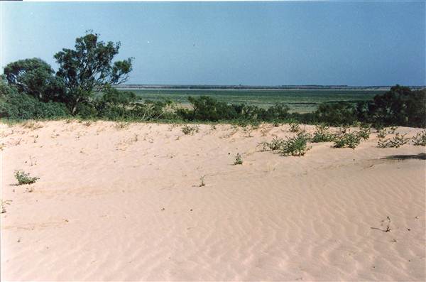 Milkengay Lake Sand Dunes (7/03/2013 11:04:22 PM)