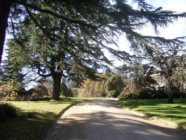 Milton Park Country House Hotel & Spa (7/03/2013 11:38:19 PM)