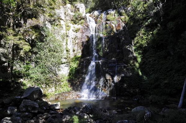 Minnamurra Falls (7/03/2013 11:43:02 PM)