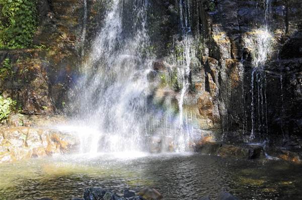 Minnamurra Falls (7/03/2013 11:43:46 PM)