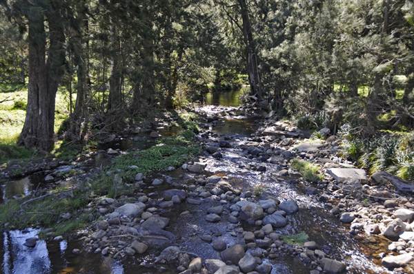 Minnamurra Falls (7/03/2013 11:44:35 PM)