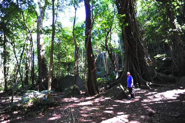 Mount Keira Scout Camp File 1 (8/03/2013 10:04:53 AM)