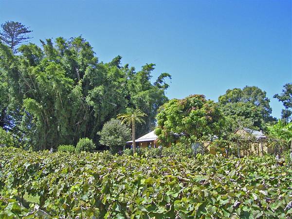 Private House - Port Macquarie (8/03/2013 10:23:11 AM)
