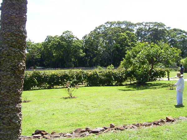 Private House - Port Macquarie (8/03/2013 10:23:38 AM)
