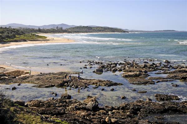 Sawtell (8/03/2013 3:00:39 PM)