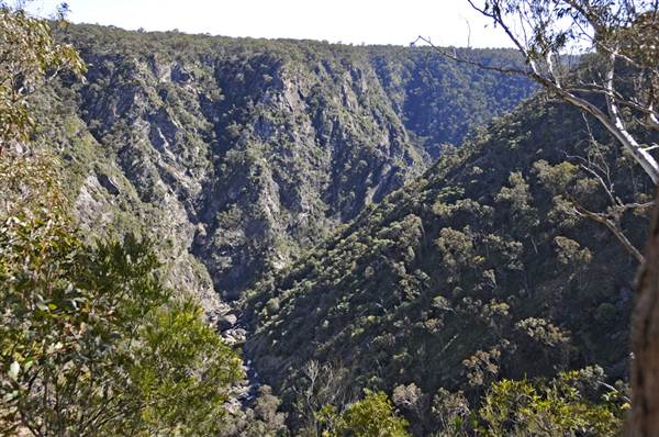 Tia Falls (9/03/2013 1:15:16 AM)
