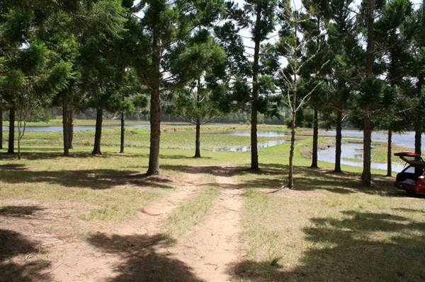 Clarrie Hall Dam (9/03/2013 1:52:41 AM)