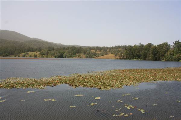 Clarrie Hall Dam (9/03/2013 1:52:52 AM)